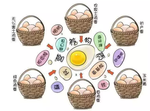 遍尋菜譜收集的雞蛋7中新吃法，第2中最好，第7中最營養(yǎng)